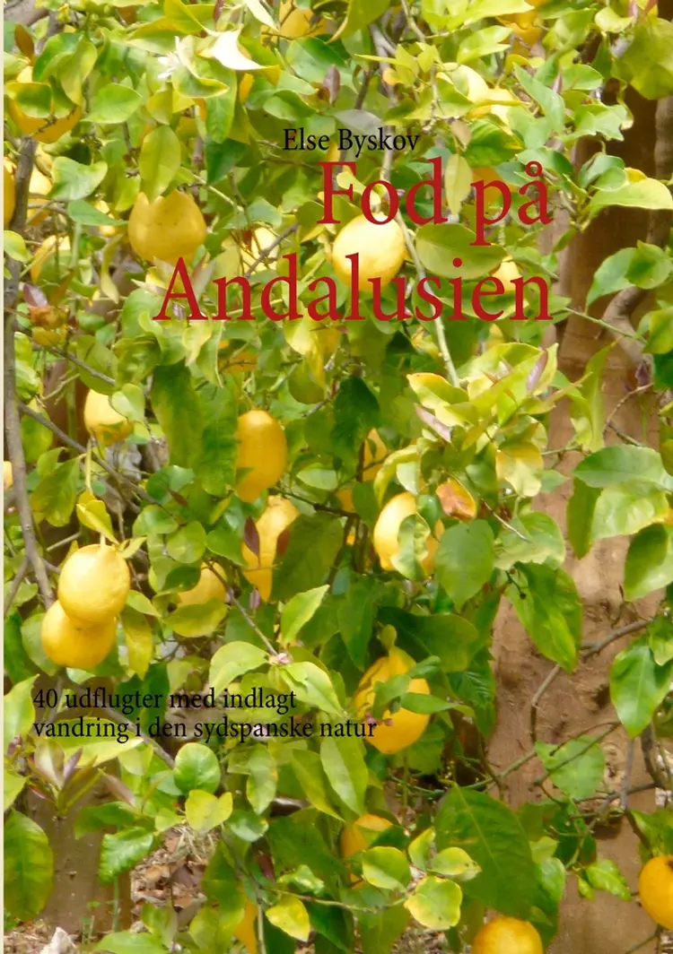 Fod på Andalusien af Else Byskov