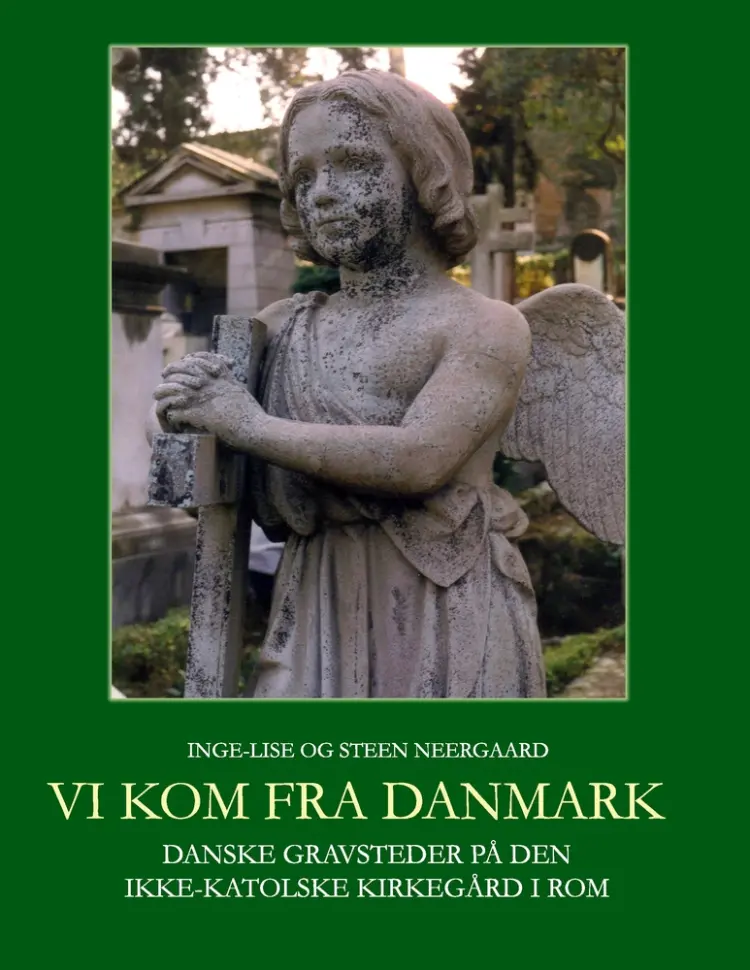 Vi kom fra Danmark af Steen Neergaard