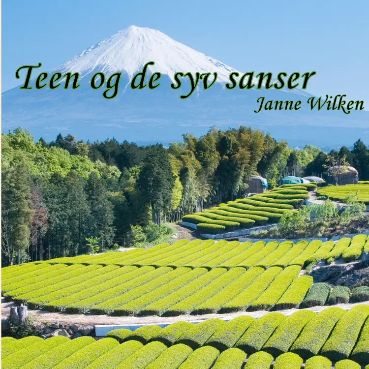 Teen og de syv sanser af Janne Wilken
