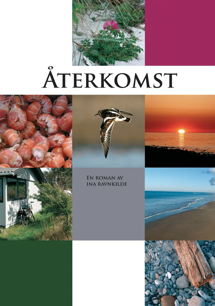 Återkomst af Ina Ravnkilde