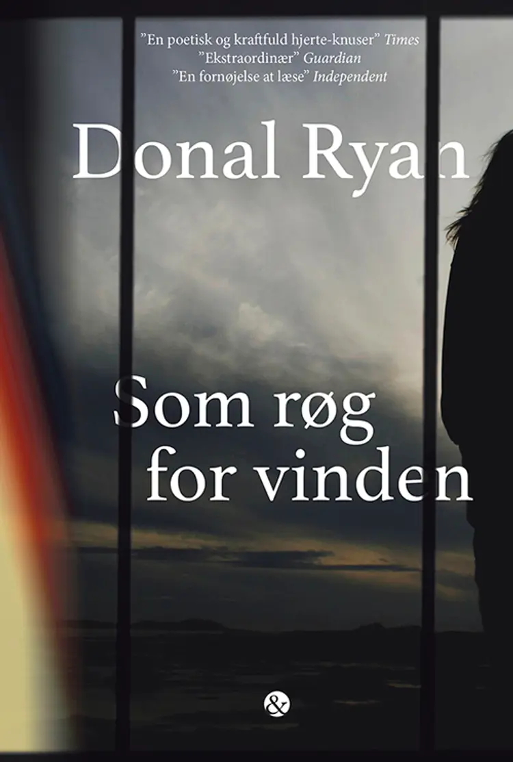 Som røg for vinden af Donal Ryan