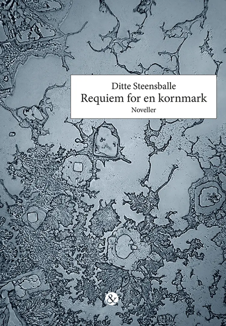 Requiem for en kornmark af Ditte Steensballe
