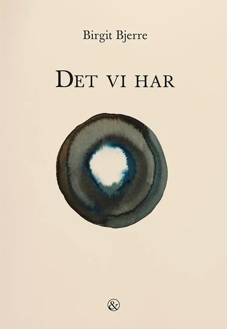 Det vi har af Birgit Bjerre