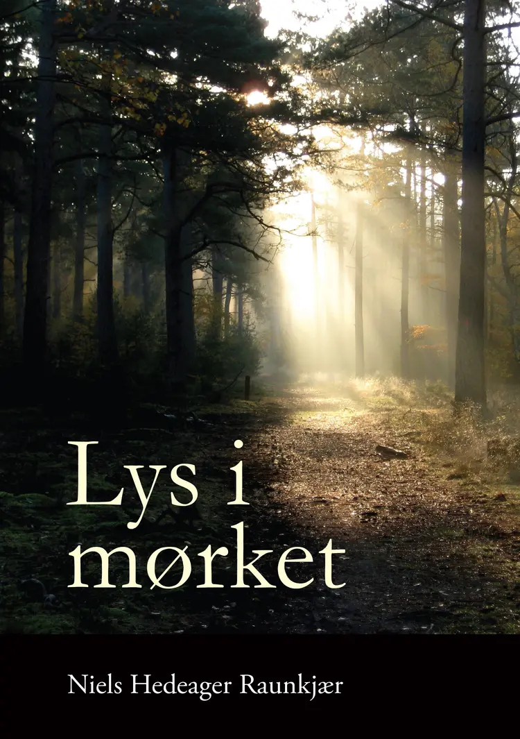 Lys i mørket af Niels Hedeager Raunkjær