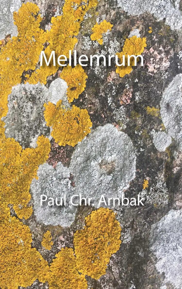 Mellemrum af Paul Chr. Arnbak