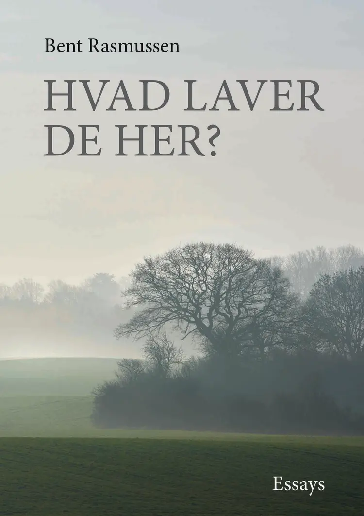 Hvad laver De her? af Bent Rasmussen