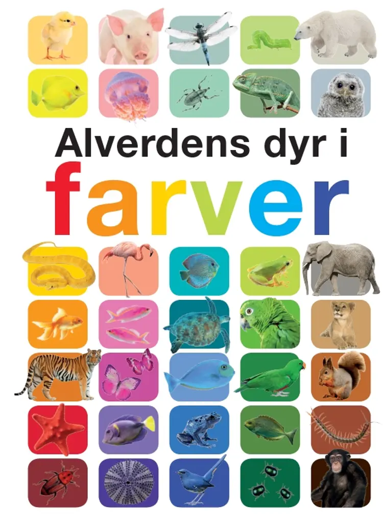 Alverdens dyr i farver af Anita Ganeri