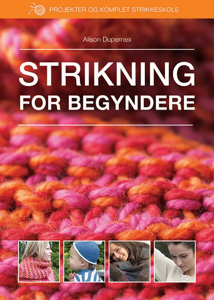 Strikning for begyndere af Alison Dupernex