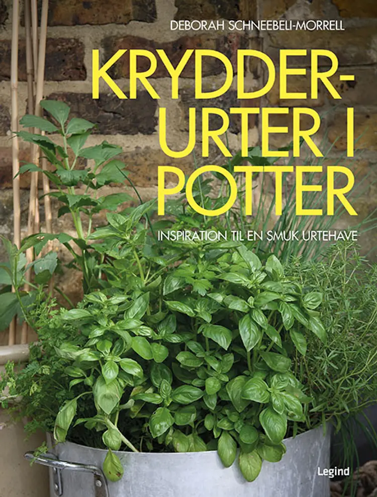 Krydderurter i potter af Deborah Schneebeli-Morrell