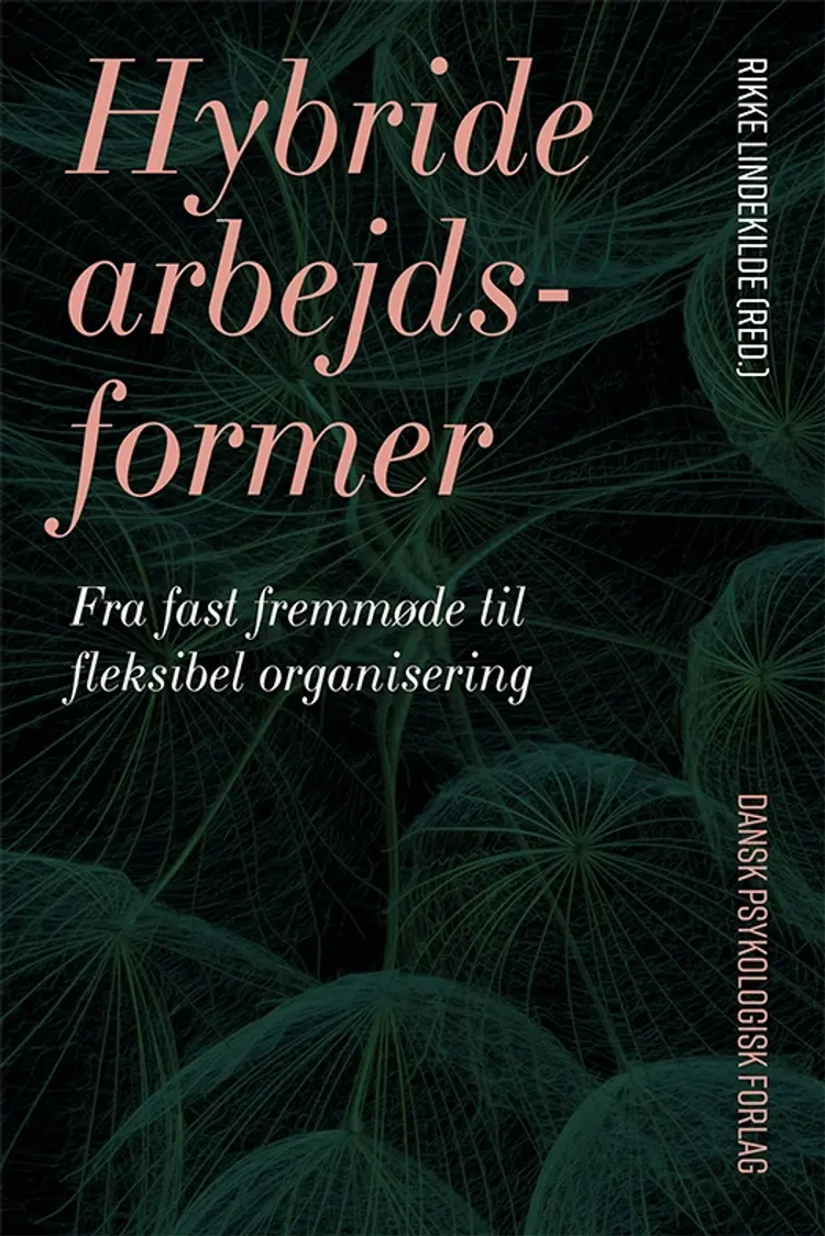 Hybride arbejdsformer af Rikke Lindekilde