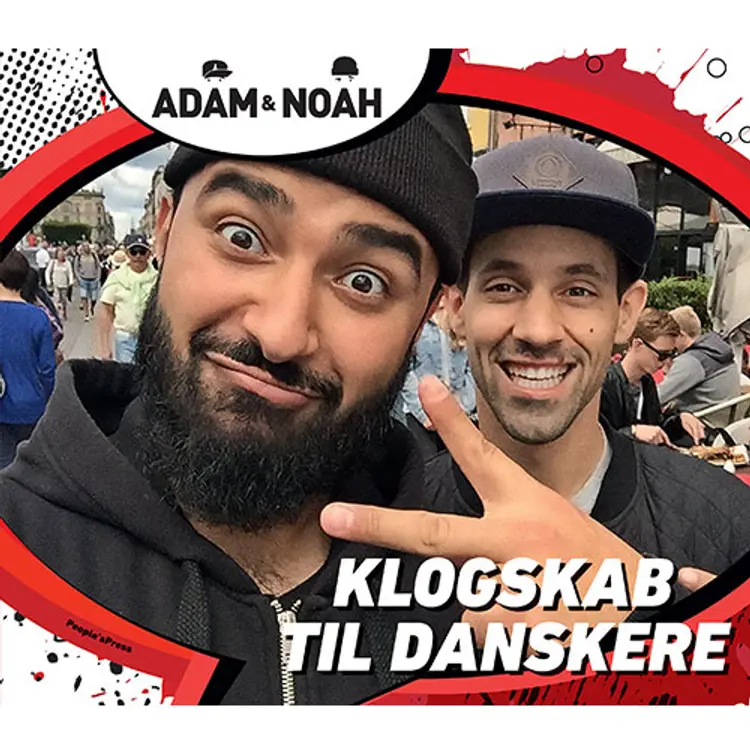 Klogskab til danskere af Adam