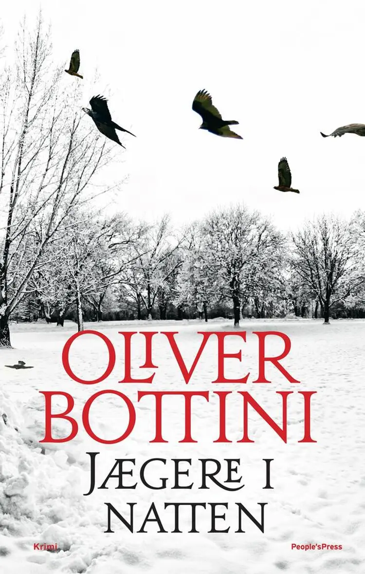 Jægere i natten af Oliver Bottini