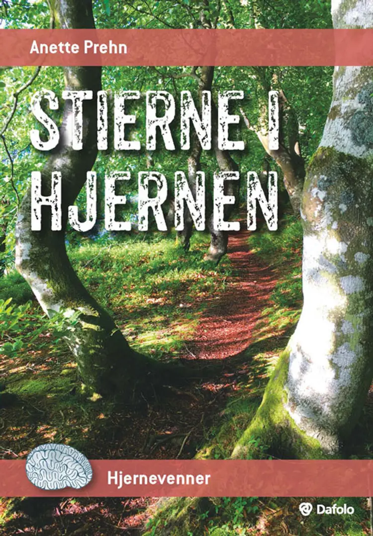 Stierne i hjernen (Pakke med 10 stk.) af Anette Prehn