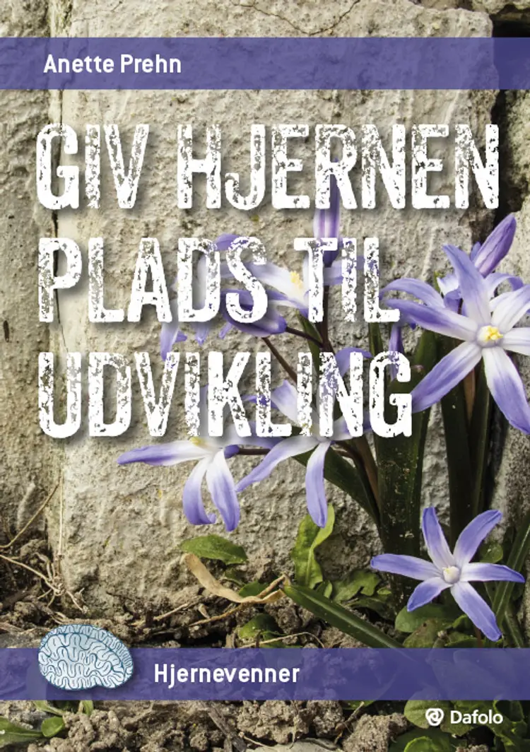 Giv hjernen plads til udvikling (Pakke med 10 stk.) af Anette Prehn