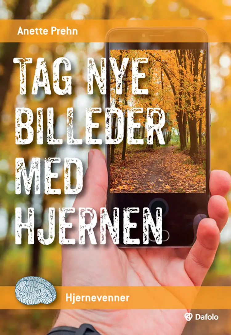 Tag nye billeder med hjernen (Pakke med 30 stk.) af Anette Prehn