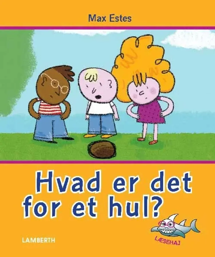 Hvad er det for et hul? af Max Estes