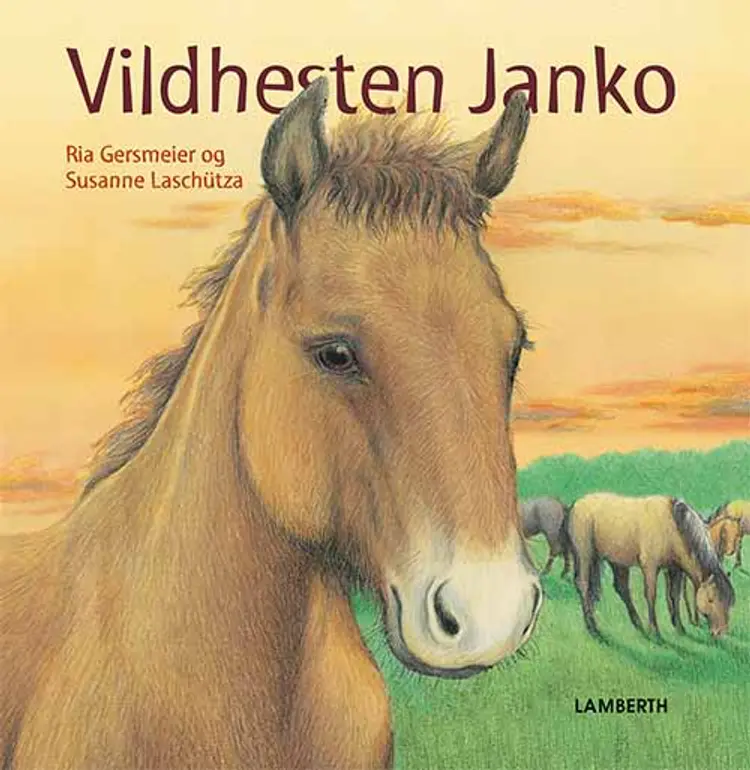 Vildhesten Janko af Ria Gersmeier