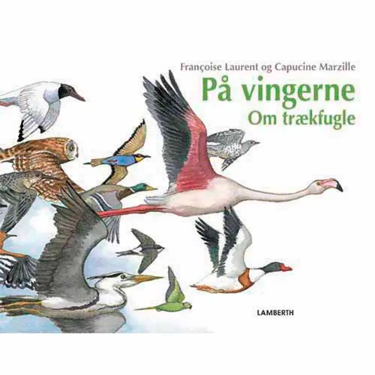På vingerne af Françoise Laurent