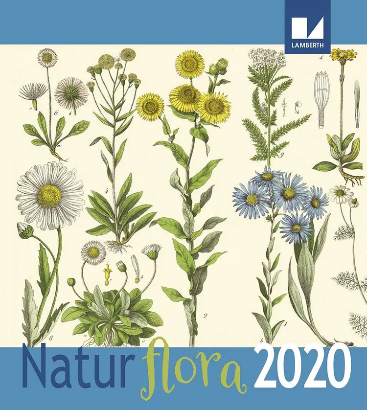 Natur - Flora Kalender 2020