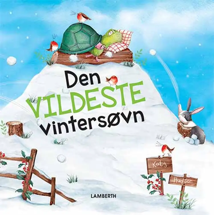 Den vildeste vintersøvn af Katy Hudson
