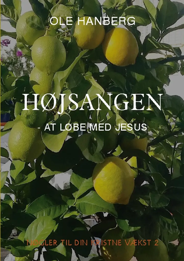 Højsangen af Ole Hanberg