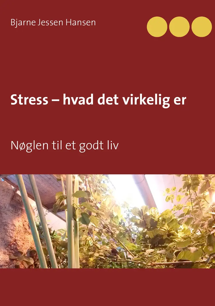 Stress - hvad det virkelig er af Bjarne Jessen Hansen