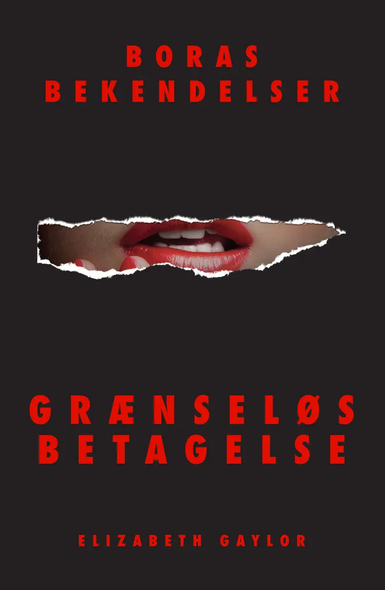 Grænseløs betagelse af Elizabeth Gaylor