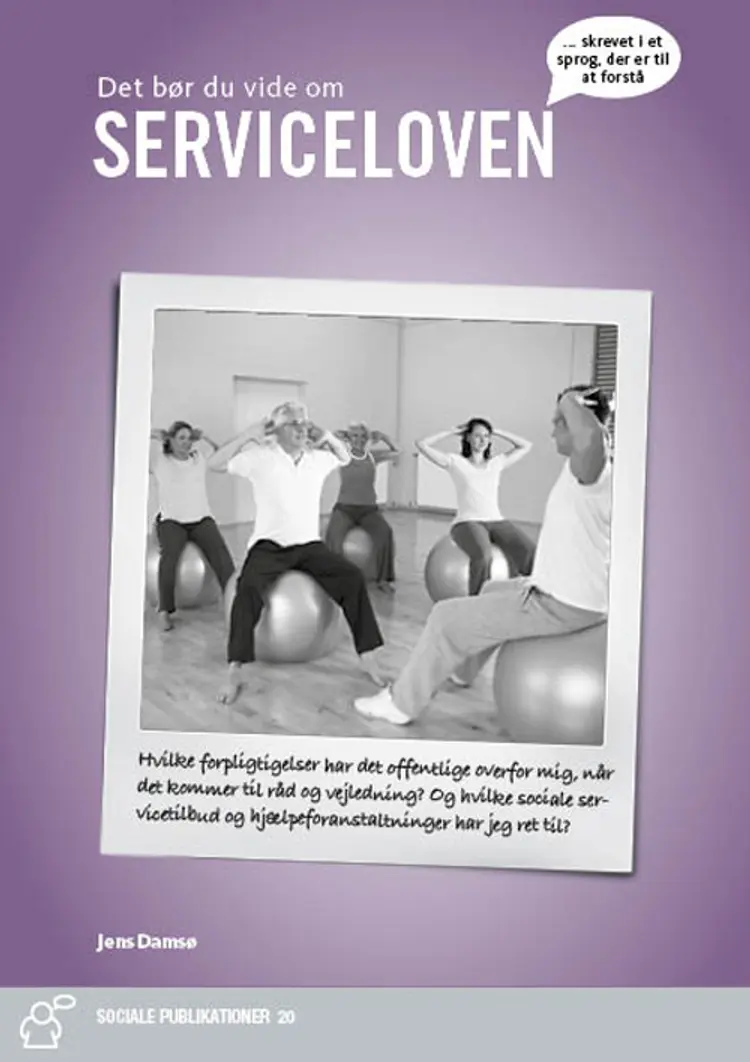 Serviceloven i Praksis af Jens Damsø