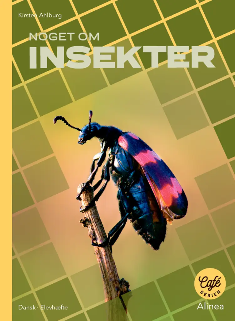 Noget om Insekter af Kirsten Ahlburg