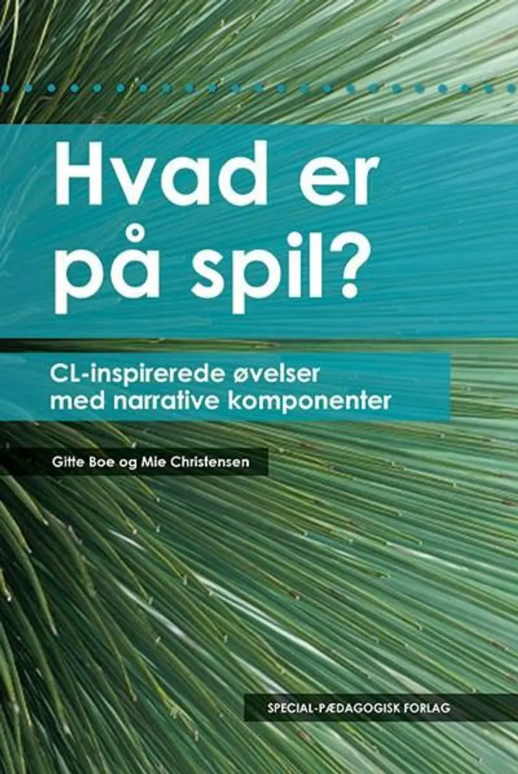 Hvad er på spil af Gitte Boe