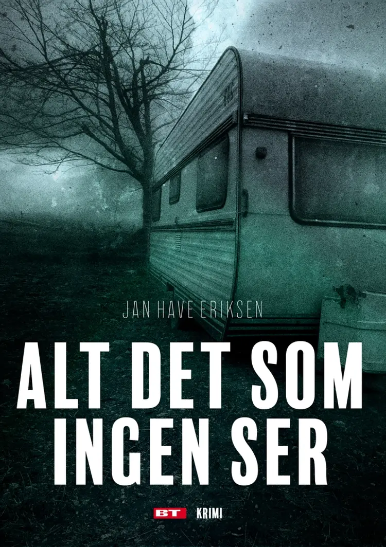 Alt det som ingen ser af Jan Have Eriksen