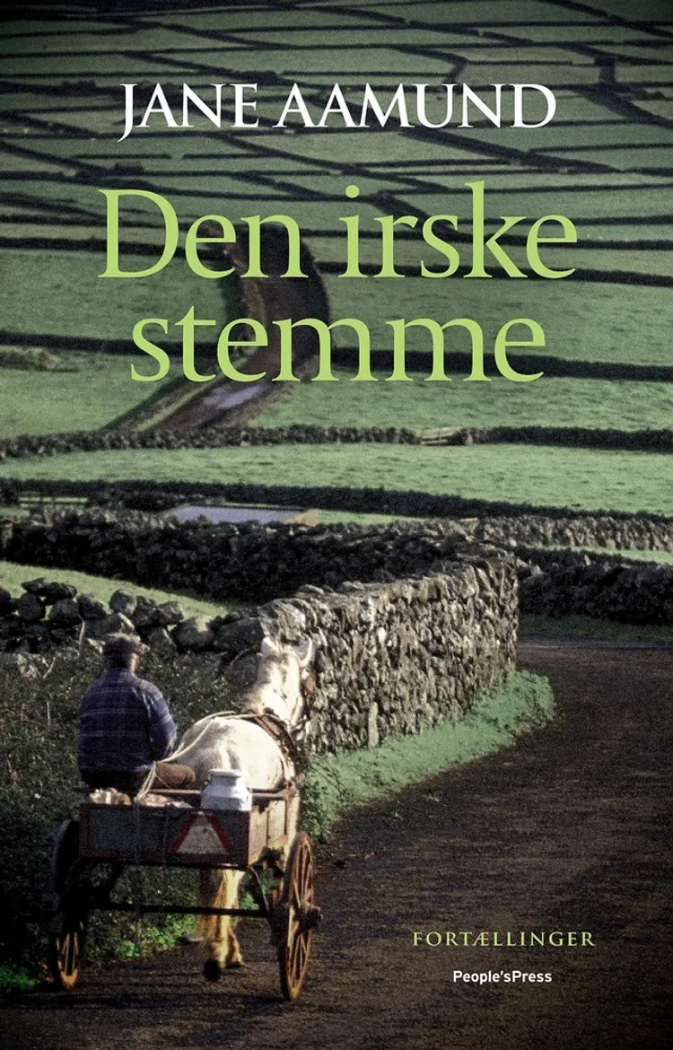 Den irske stemme af Jane Aamund
