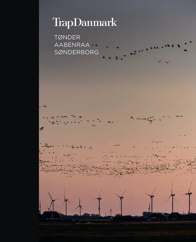 Tønder, Aabenraa, Sønderborg af Trap Danmark