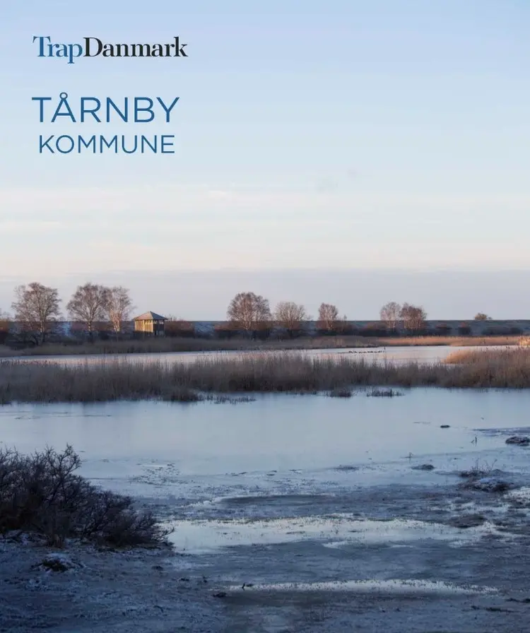 Trap Danmark: Tårnby Kommune af Trap Danmark