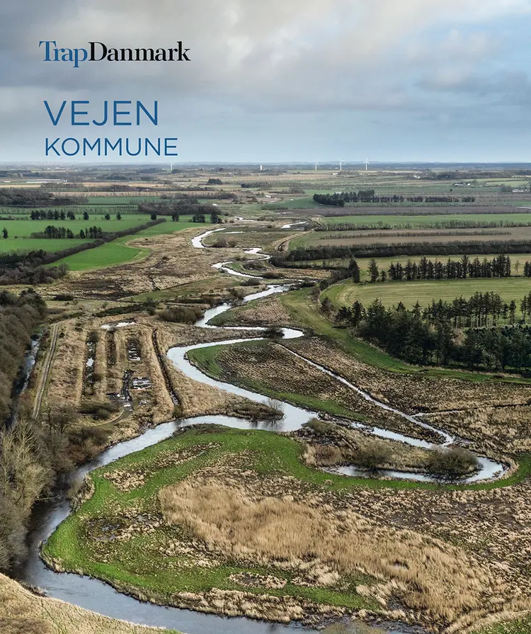 Trap Danmark: Vejen Kommune af Trap Danmark