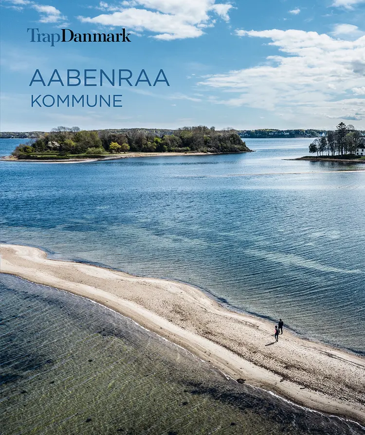 Trap Danmark: Aabenraa Kommune af Trap Danmark