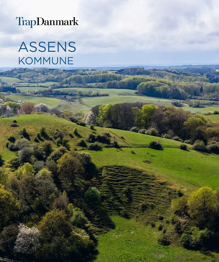 Trap Danmark: Assens Kommune af Trap Danmark