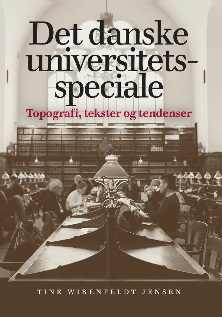 Det danske universitetsspeciale af Tine Wirenfeldt Jensen
