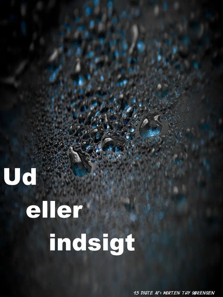 Ud eller indsigt af Morten Thy Sørensen