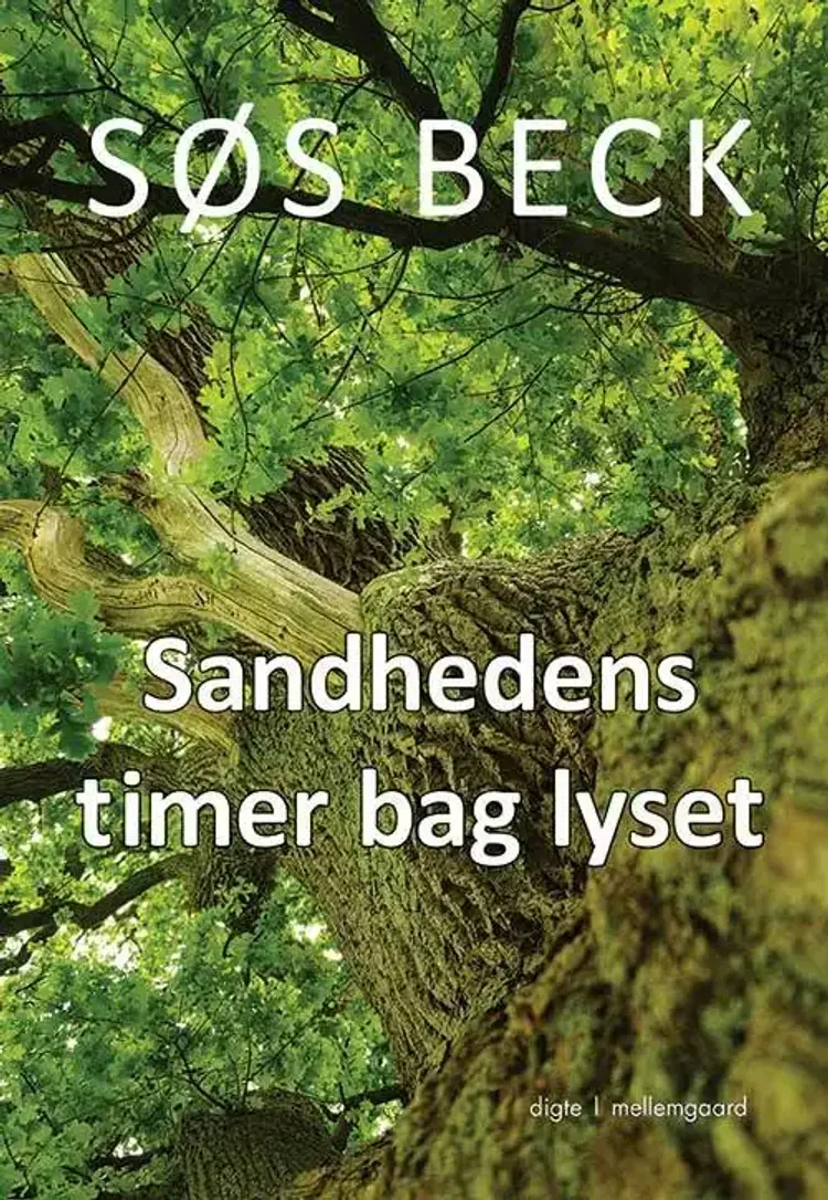 Sandhedens timer bag lyset af Søs Beck