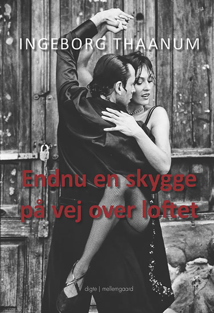 Endnu en skygge på vej over loftet af Ingeborg Thaanum