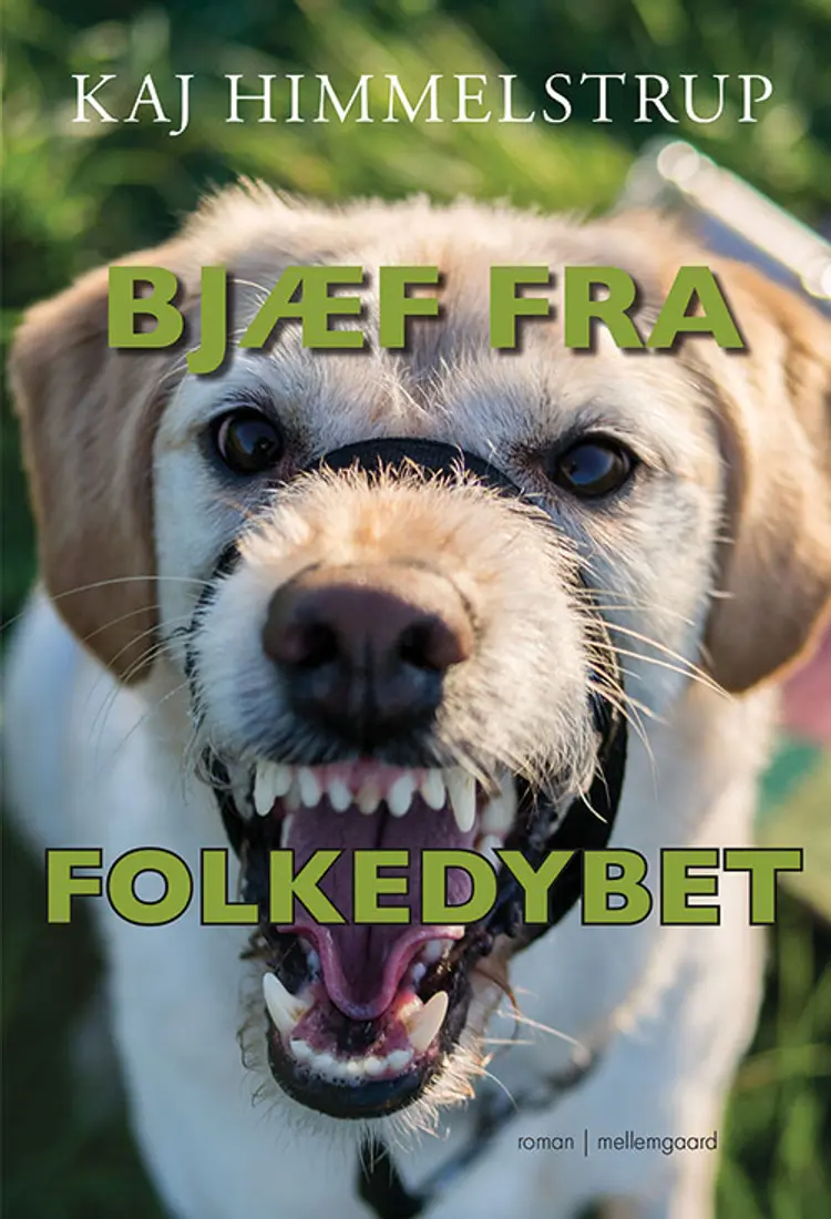 Bjæf fra folkedybet af Kaj Himmelstrup