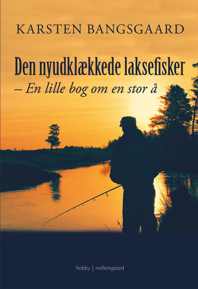 Den nyudklækkede laksefisker af Karsten Bangsgaard