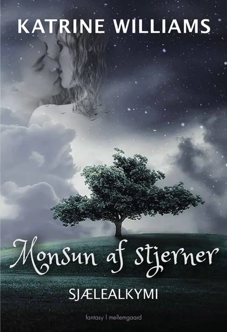 Monsun af stjerner af Katrine Williams