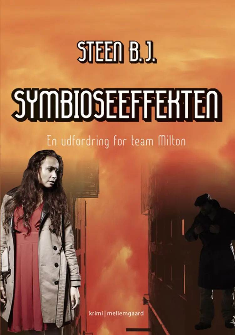 Symbioseeffekten af Steen B. J.