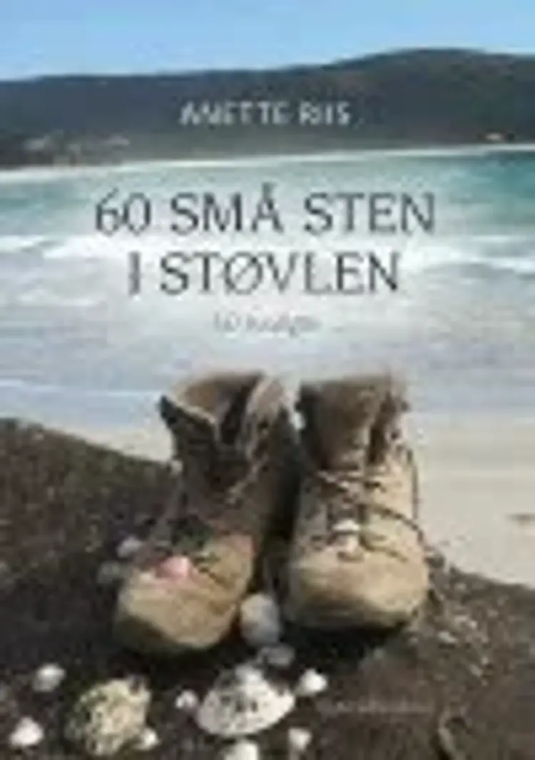 60 små sten i støvlen af Anette Riis