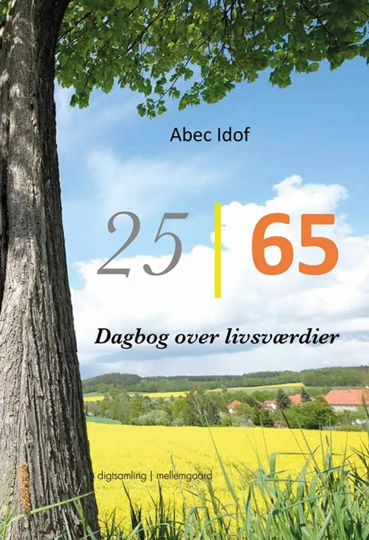 25/65 af Abec Idof