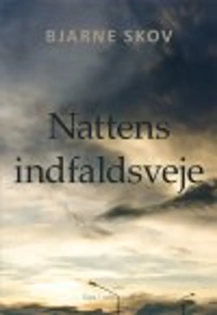 Nattens indfaldsveje af Bjarne Skov