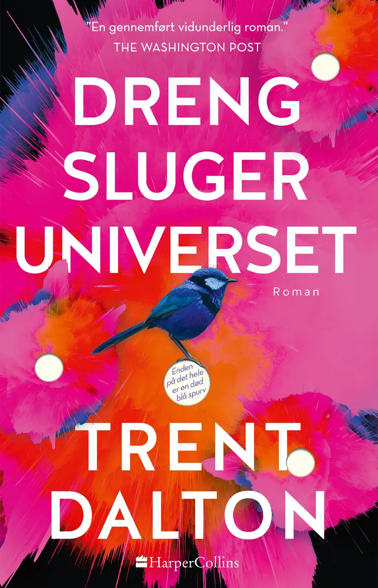 Dreng sluger universet af Trent Dalton