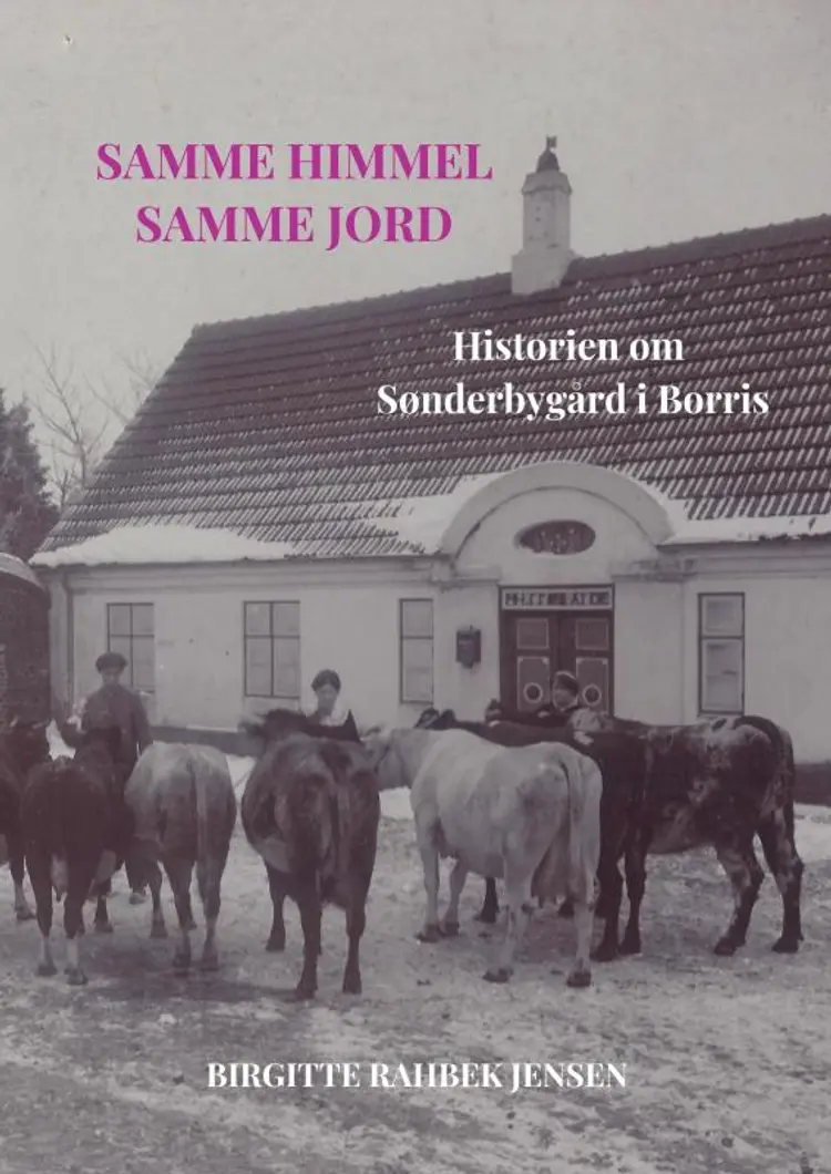 Samme himmel, samme jord af Birgitte Rahbek Jensen